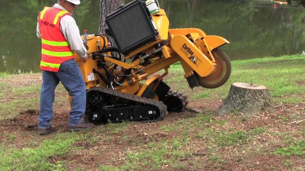 Stump Grinding in Sydney