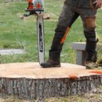 The Importance of Stump Grinding in Sydney for Your Garden