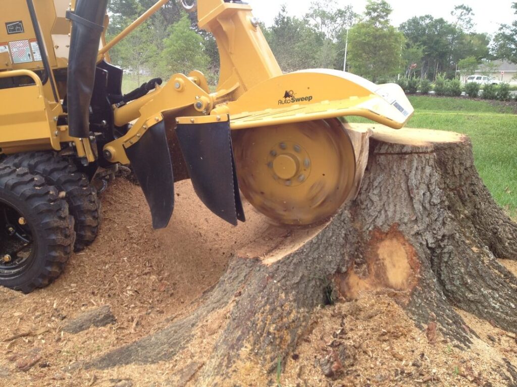 Stump Grinding in Sydney